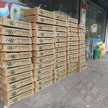 فروشگاه خوراک دام و طیور مرغداران در تالش