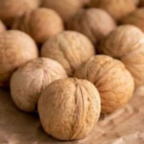 آجیل و خشکبار دستوریان