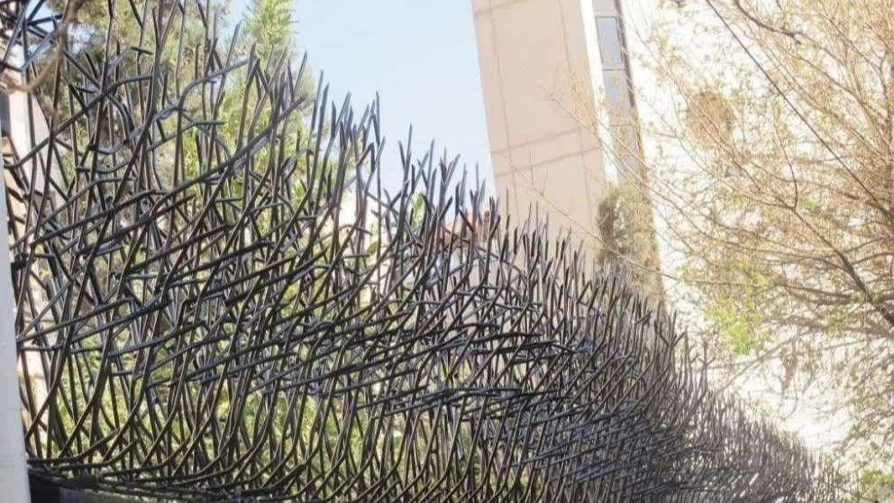 حفاظ شاخ گوزنی پاسارگاد