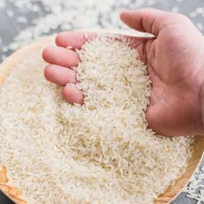 بازرگانی برنج قنبری