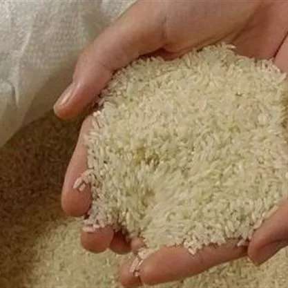 بازرگانی برنج قنبری