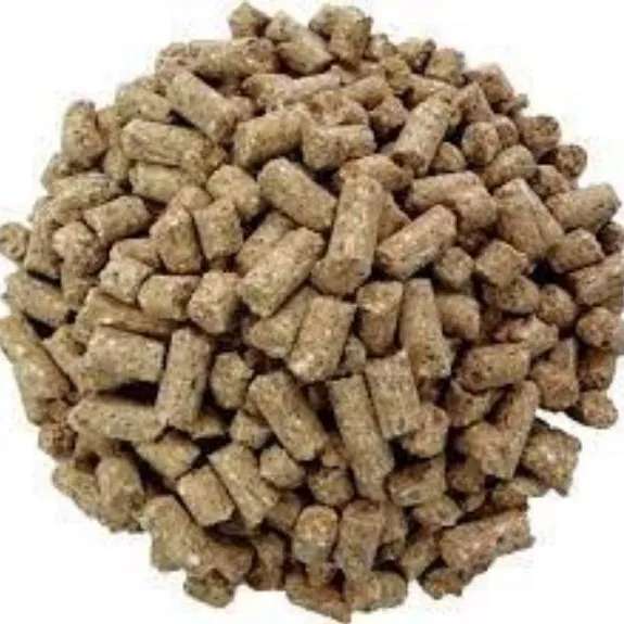خوراک و کنسانتره طیور
