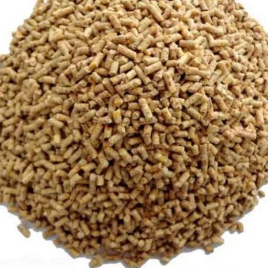 خوراک و کنسانتره طیور