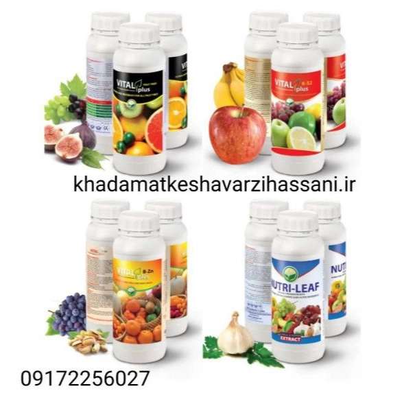 داروخانه گیاه پزشکی حسنی