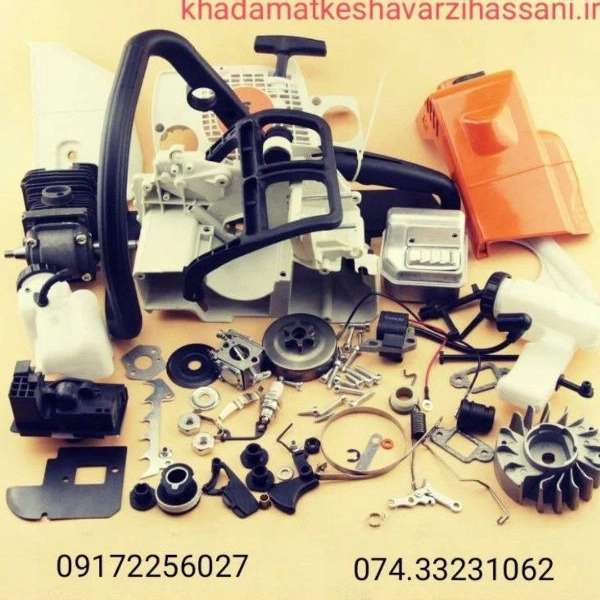 داروخانه گیاه پزشکی حسنی