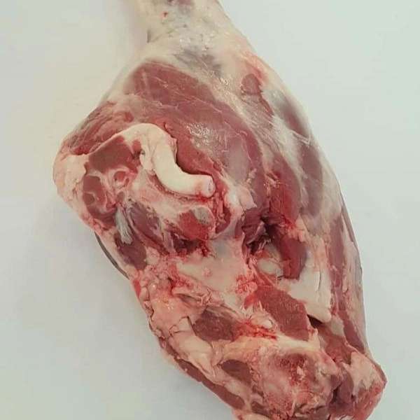 پروتئینی سرای تورتک