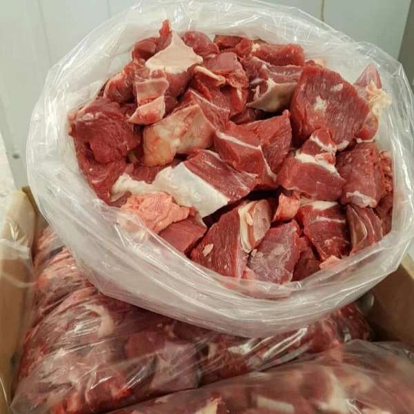 پروتئینی سرای تورتک