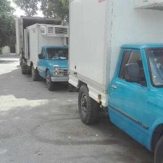 پروتئینی سرای تورتک