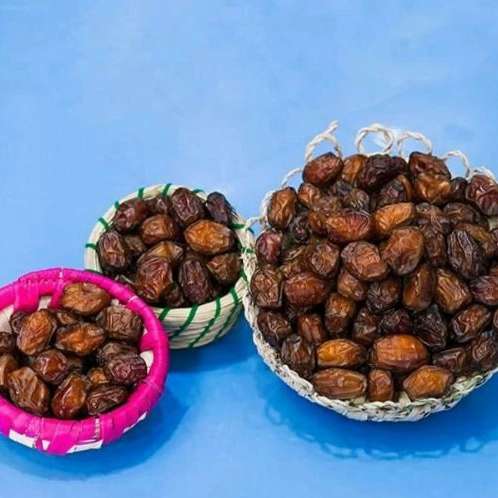 نخلستان خرمای پیارم آروین