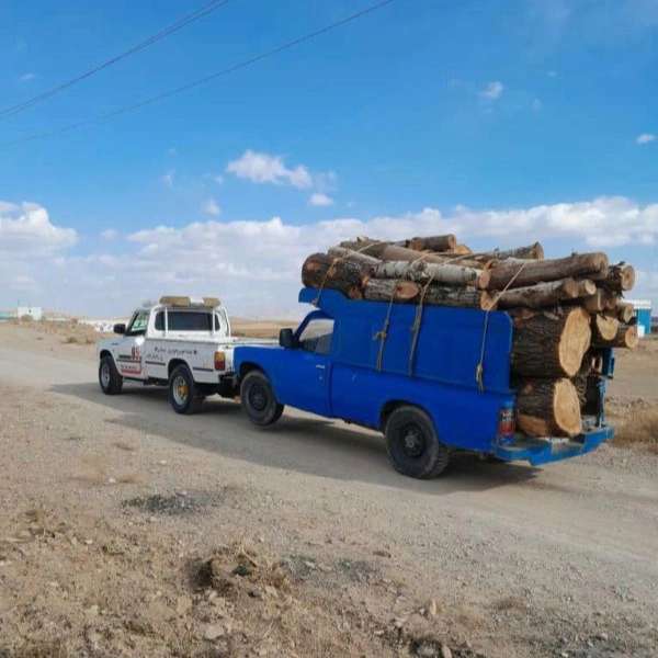 امدادخودرو صادق