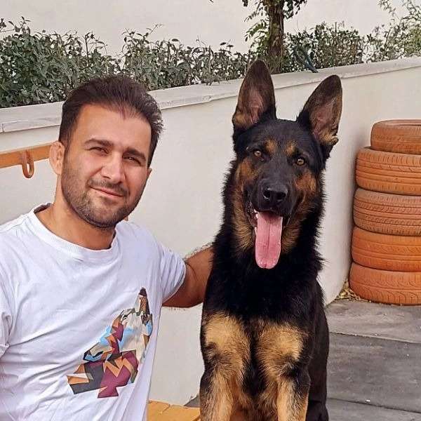 مرکز آموزشی سگ های کار هیرو k9 در کرج