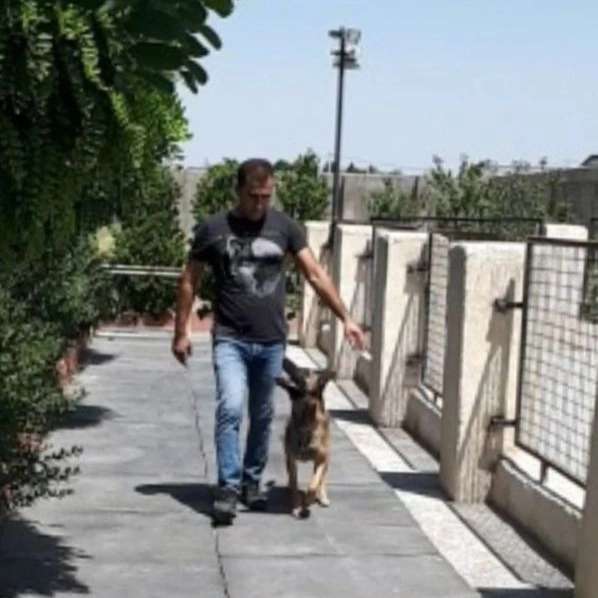 مرکز آموزشی سگ های کار هیرو k9 در کرج