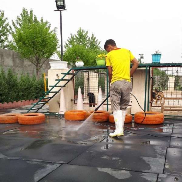 مرکز آموزشی سگ های کار هیرو k9 در کرج