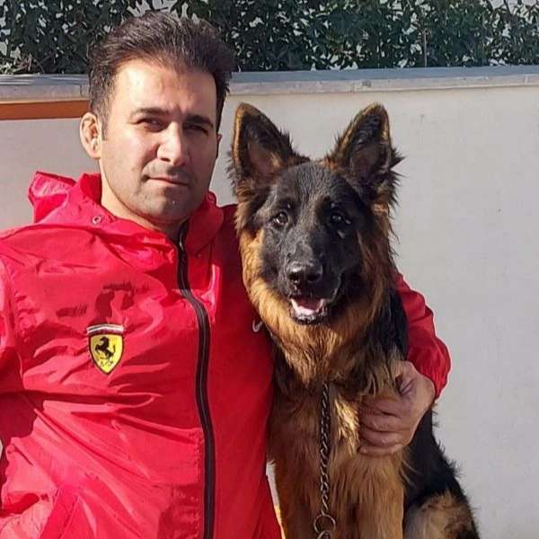 مرکز آموزشی سگ های کار هیرو k9