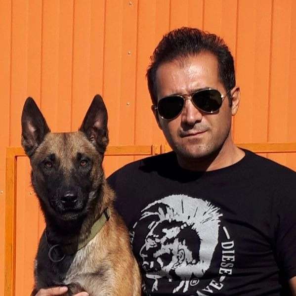 مرکز آموزشی سگ های کار هیرو k9