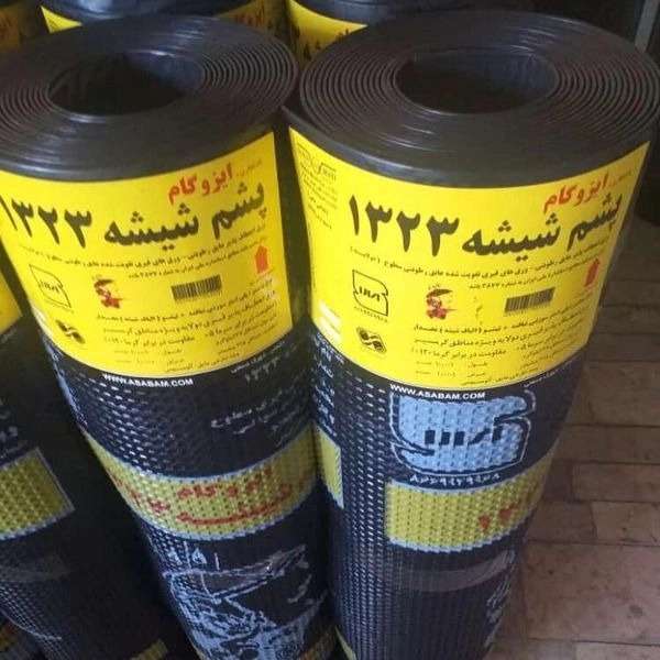 مدیر عامل آسابام دلیجان