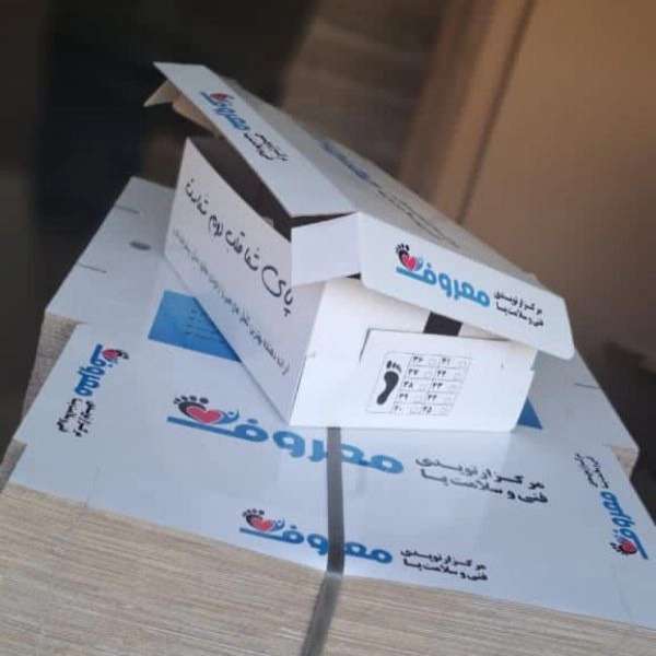 کارتن سازی ایرانیان