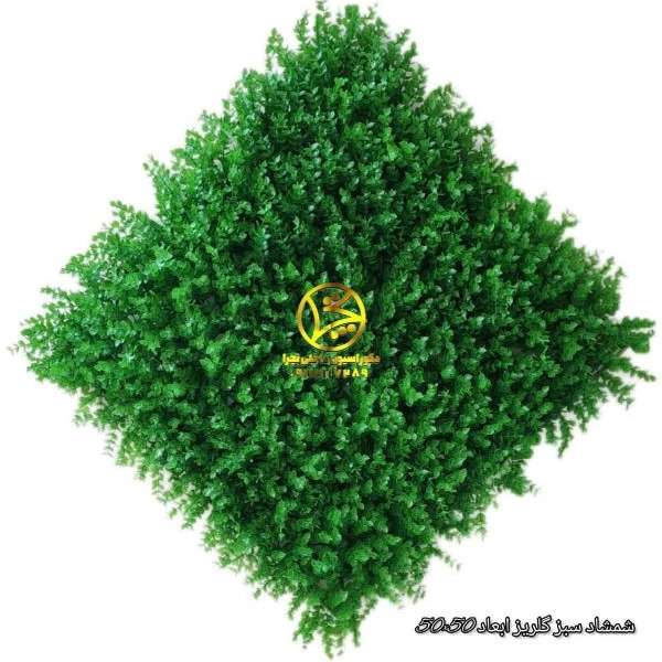 گرین وال و فنس چمنی