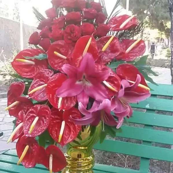 گل فروشی جردن