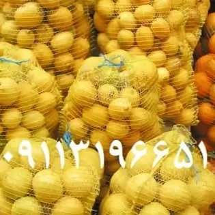 توری میوه و سبزی