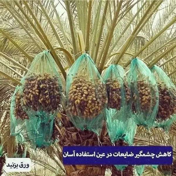 شبکه توری ضدسرمازدگی