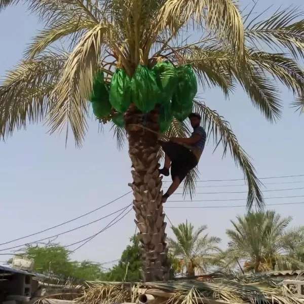 شبکه توری ضدسرمازدگی