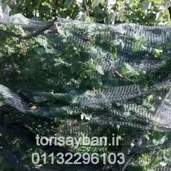 شبکه توری ضدسرمازدگی