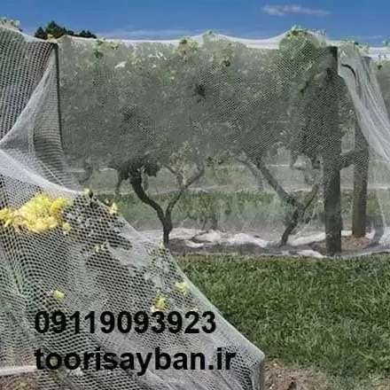 شبکه توری ضدسرمازدگی