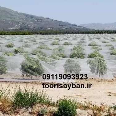 شبکه توری ضدسرمازدگی