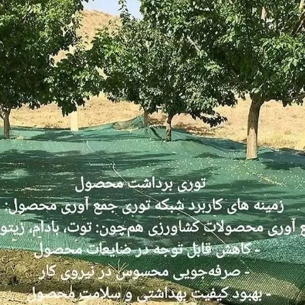 شبکه توری جمع آوری محصول