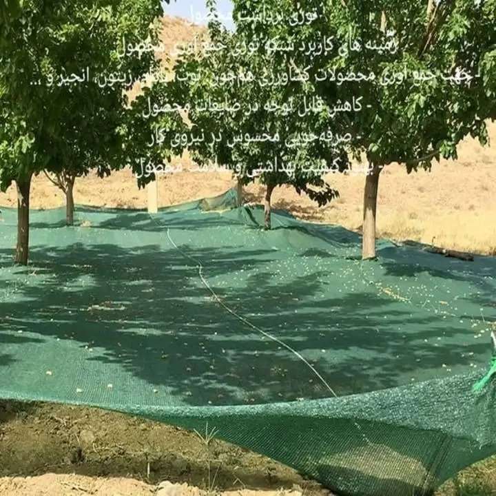 شبکه توری جمع آوری محصول