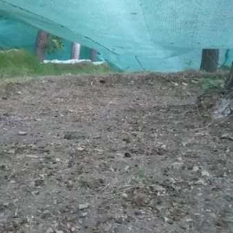 شبکه توری جمع آوری محصول