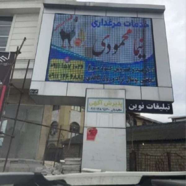 کود مرغی و تولید و پخش پوشال مرغداری