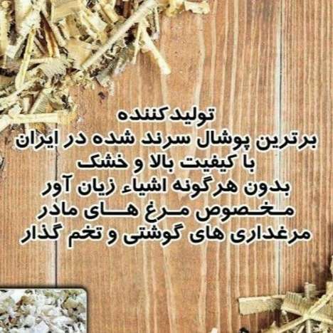 کود مرغی و تولید و پخش پوشال مرغداری