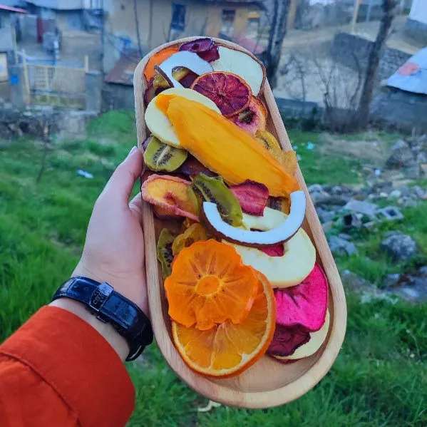 میوه خشک و خشکبار سالی فروت