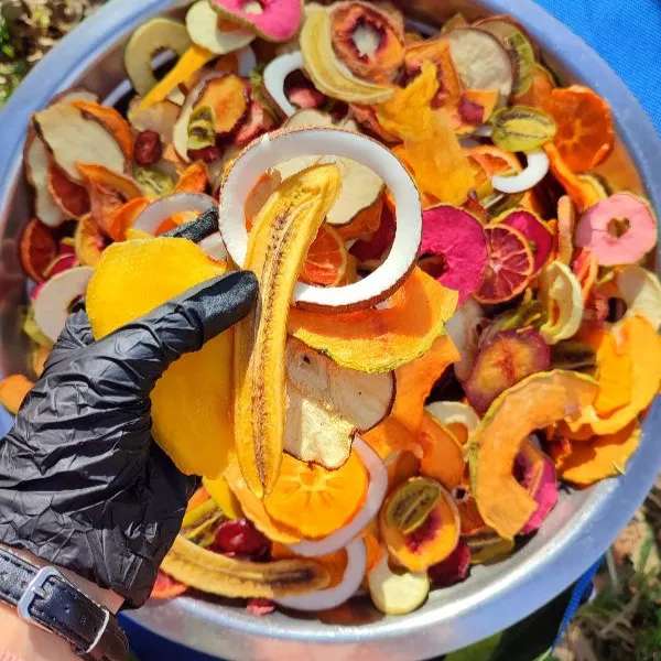 میوه خشک و خشکبار سالی فروت