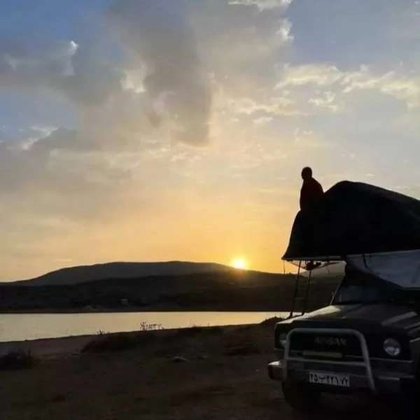 سیمرغ آفرد