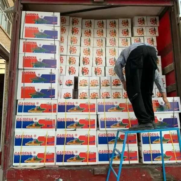 بازرگانی ترخیص کالا و واردات صادرات مرشدی در مرز مهران عراق