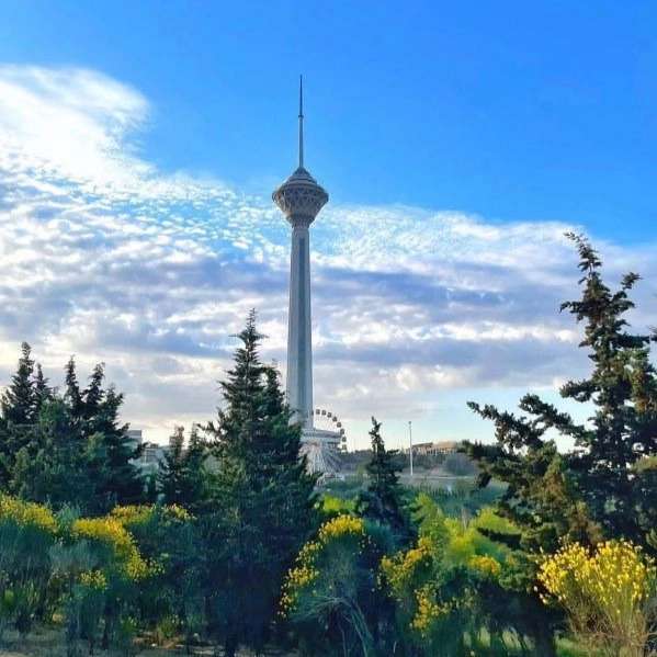 دپارتمان املاک آتا در کیش