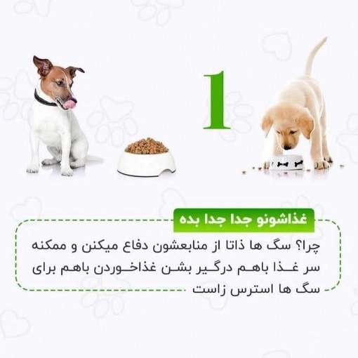 سگ های کار هیرو k9