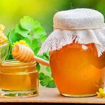 نگین خشکبار، فروش عمده و صادرات عسل ارگانیک و طبیعی در خراسان رضوی