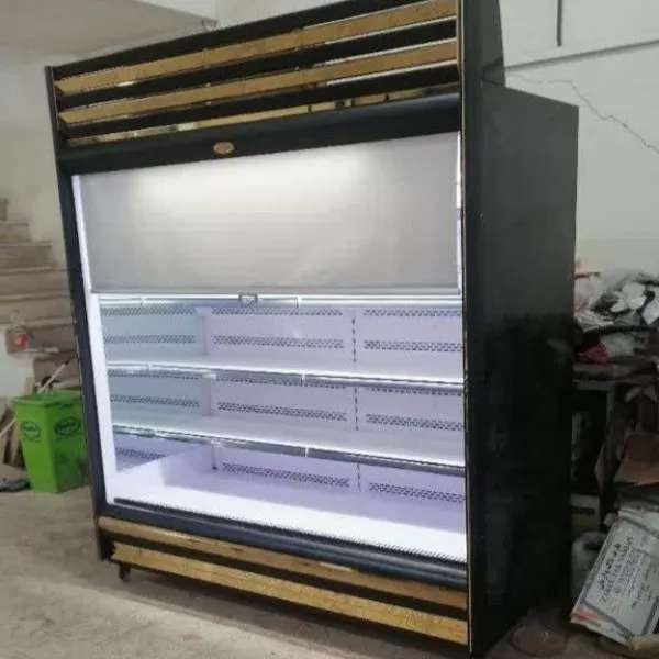 یخچال صنعتی دلفین