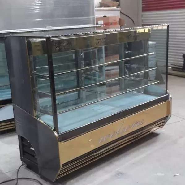 یخچال صنعتی دلفین