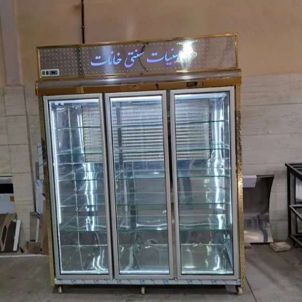 یخچال صنعتی دلفین
