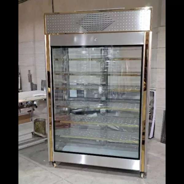 یخچال صنعتی دلفین