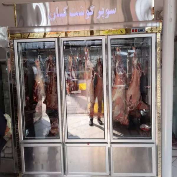 یخچال صنعتی دلفین