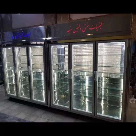 یخچال صنعتی دلفین