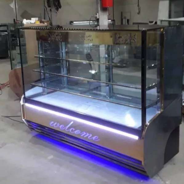یخچال صنعتی دلفین