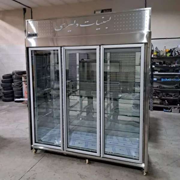 یخچال صنعتی دلفین