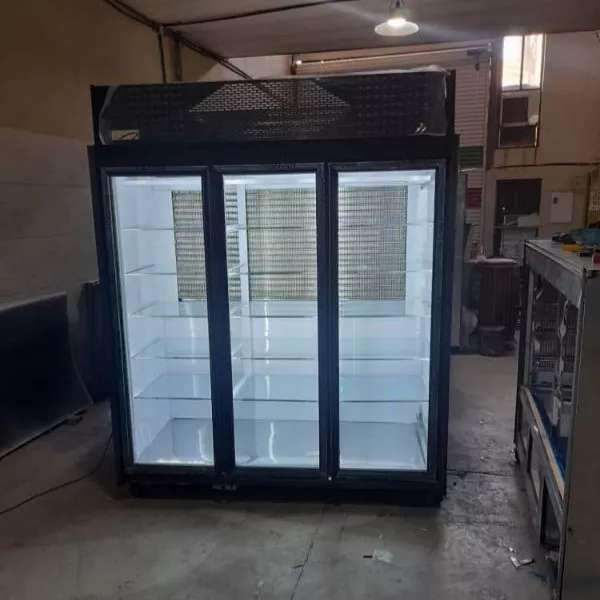یخچال صنعتی دلفین